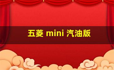 五菱 mini 汽油版